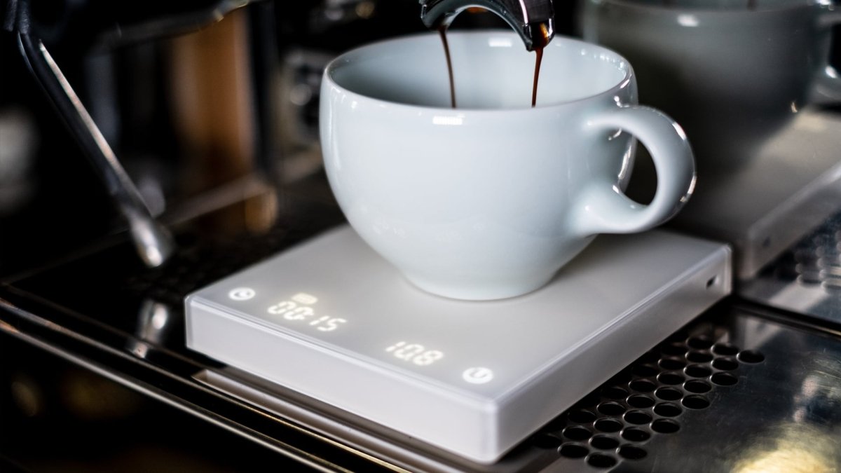 TIMEMORE - Café Liégeois