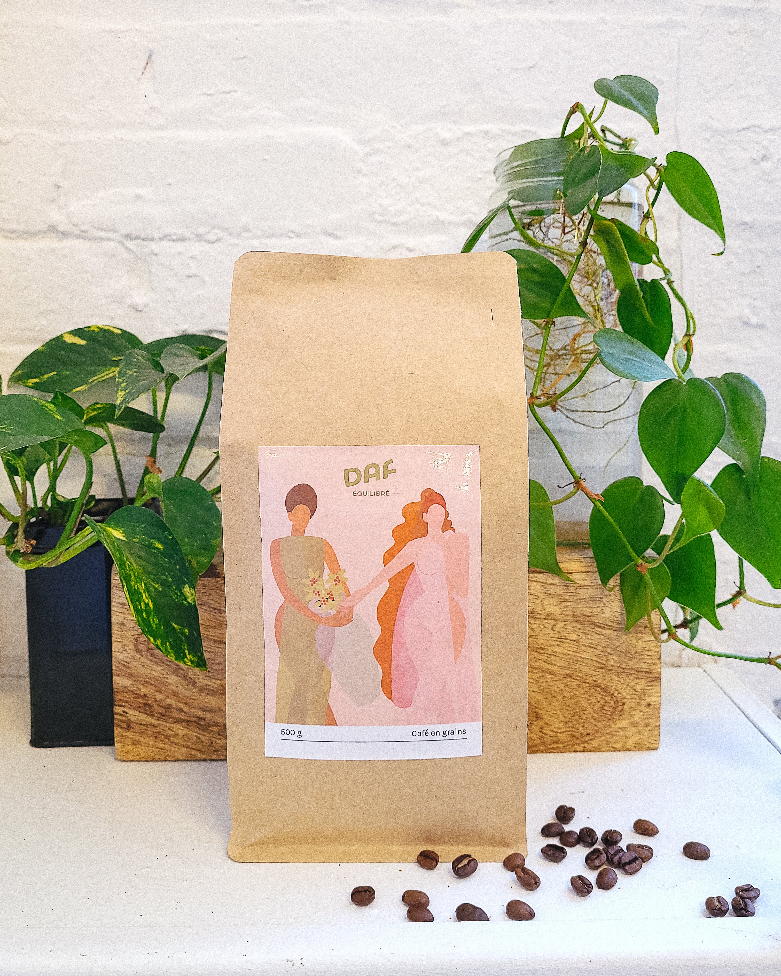 Café grain EQUILIBRE - DAF - notre marque locale