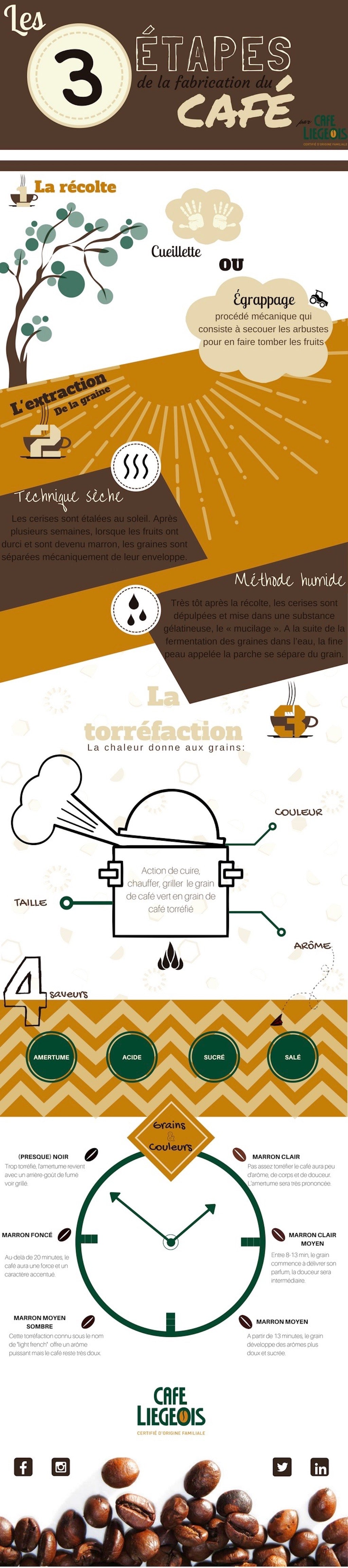 Les 3 étapes de la fabrication du café