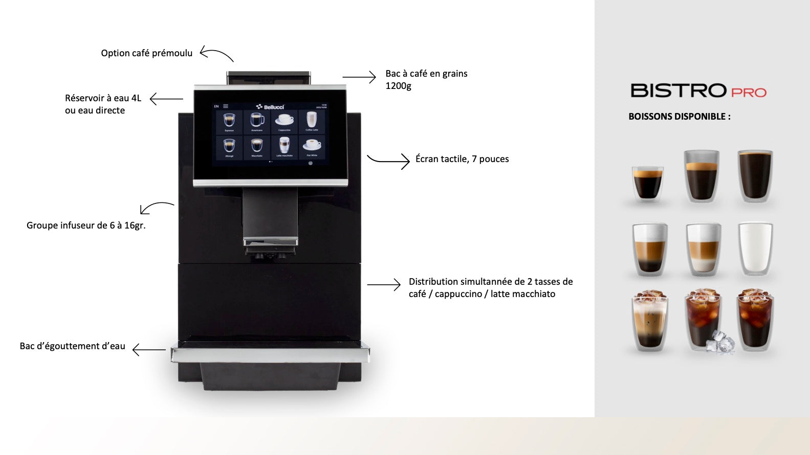 Bellucci - Bistro Pro