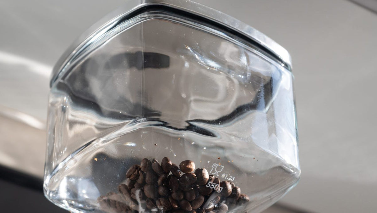 Eureka Mignon Glass Bean Hopper – 550 g