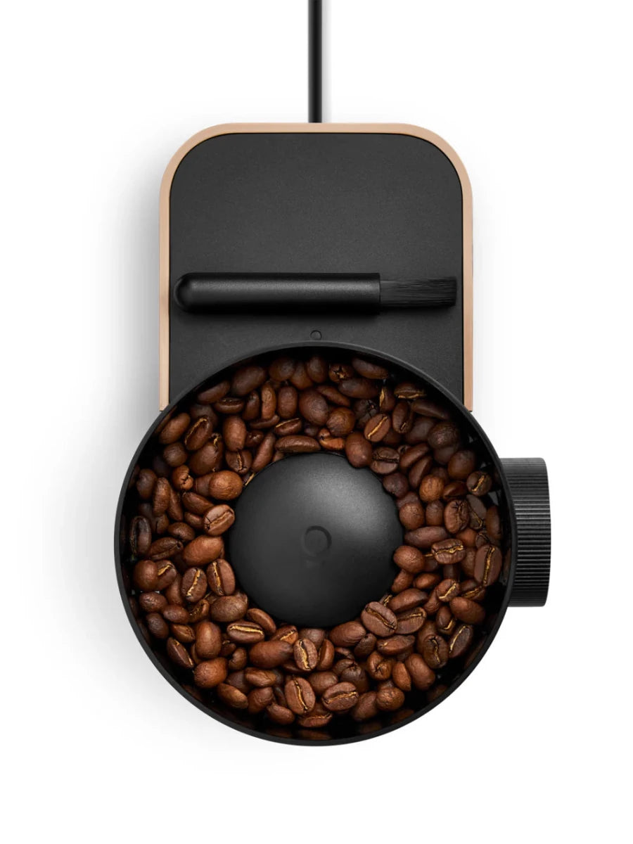 Fellow - Opus 2 Conical Burr Coffee Grinder - Café Liégeois Canada Inc.