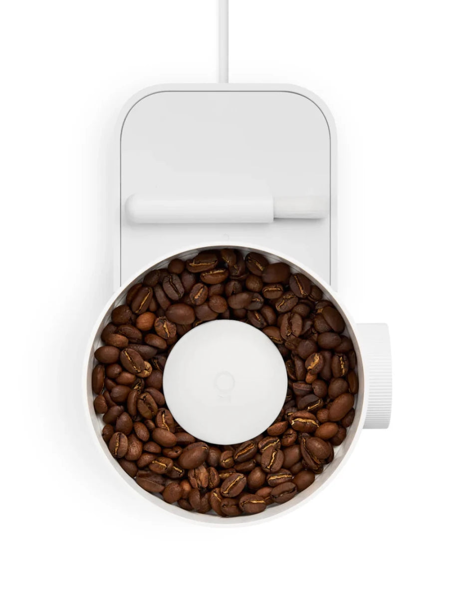 Fellow - Opus 2 Conical Burr Coffee Grinder - Café Liégeois Canada Inc.