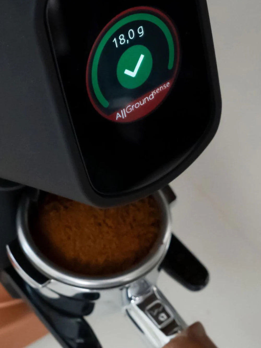 Fiorenzato - AllGround Sense Coffee Grinder (120V)